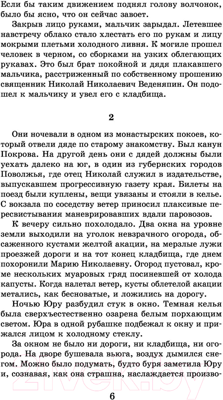 Художественная книга АСТ Доктор Живаго. Школьное чтение (Пастернак Б.Л.) — фото 6