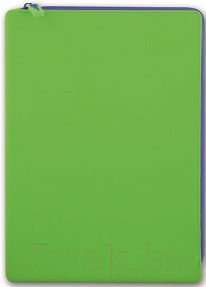 Папка для тетрадей Феникс+ 40264 (зеленый)