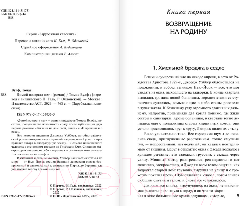 Художественная книга АСТ Домой возврата нет. Зарубежная классика (Вулф Т.) — фото 3