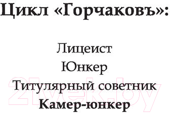 Художественная книга АСТ Горчаков. Камер-юнкер (Пылаев В.) — фото 2