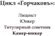 Миниатюра изображения товара Книга АСТ Горчаков. Камер-юнкер (Пылаев В.)