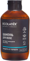 Шампунь для волос Ecolatier Мужской Защита от перхоти (400мл) - 
