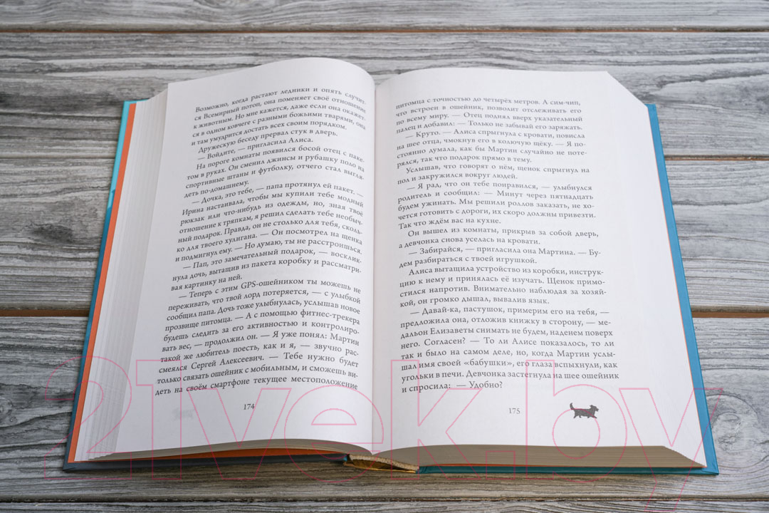 Художественная книга АСТ Корги Мартин. Дилогия в одном томе (Самарский М.А.) — фото 3
