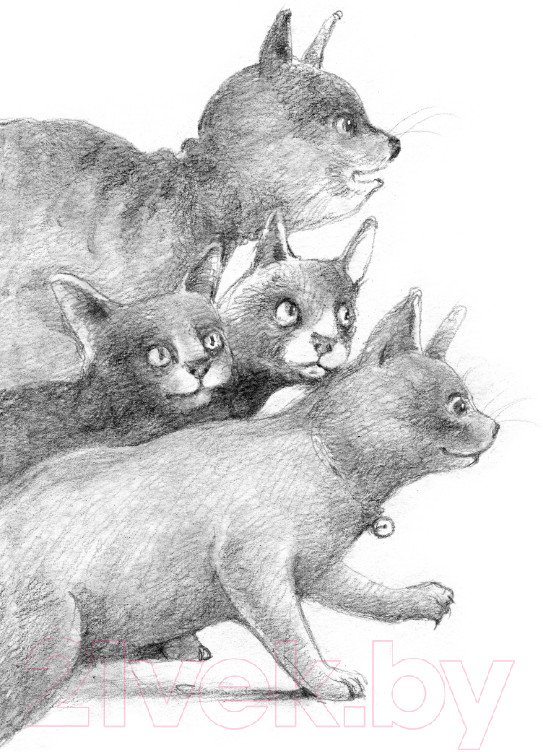 Художественная книга АСТ Кот Тихон, или Похищение Голландца (Трауб М.) — фото 3