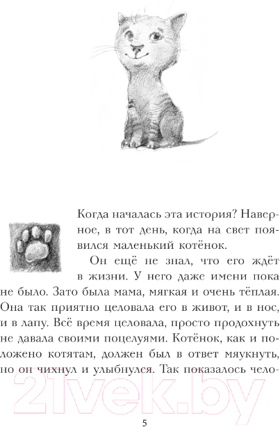Художественная книга АСТ Кот Тихон, или Похищение Голландца (Трауб М.) — фото 6