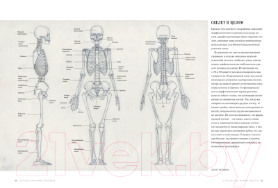Книга КоЛибри Основы анатомии человека. Наглядное руководство для художников (Ости Р.)