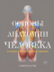 Книга КоЛибри Основы анатомии человека. Наглядное руководство для художников (Ости Р.) - 