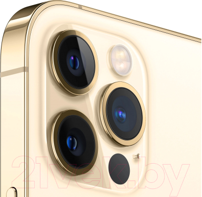 Смартфон Apple iPhone 12 Pro 256GB / 2BMGMR3 восстановленный Breezy Грейд B (золото)
