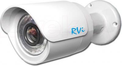 IP-камера RVi IPC41DNS - общий вид