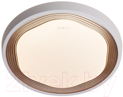 

Потолочный светильник Евросвет, Range 40005/1 Led