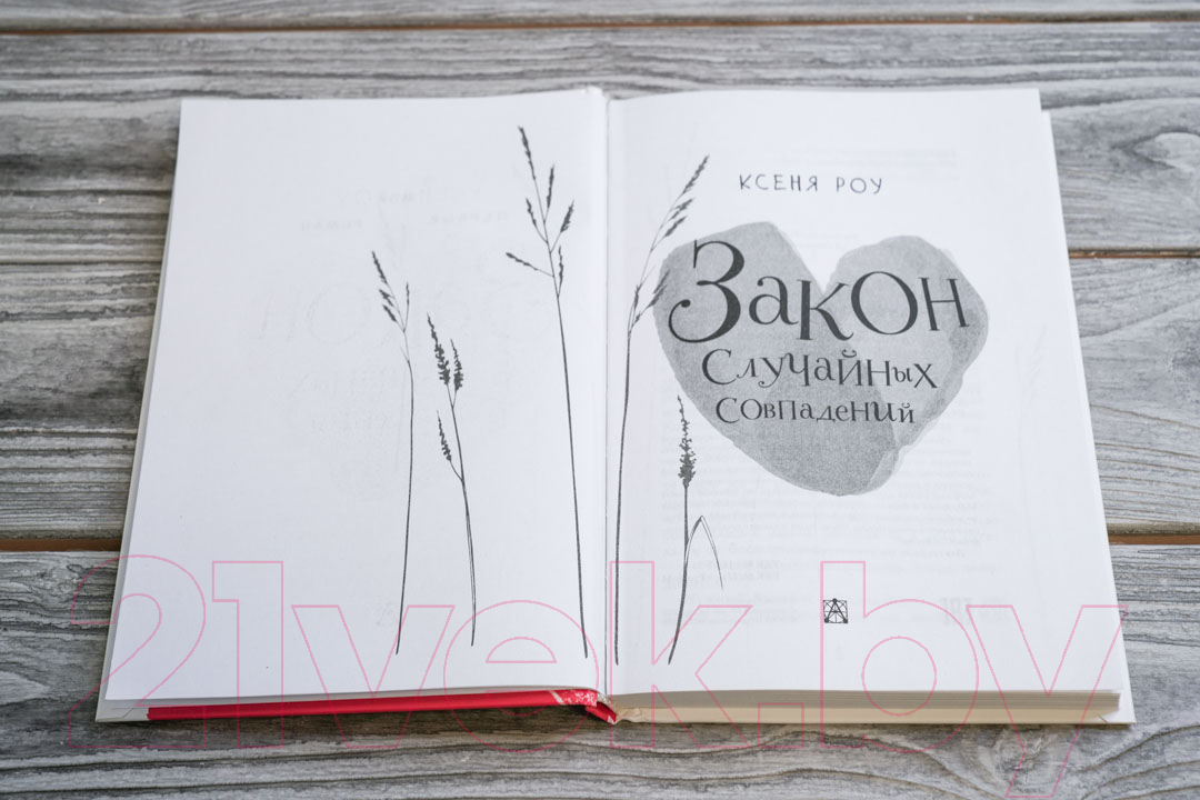 Художественная книга АСТ Закон случайных совпадений (Роу К.) — фото 3