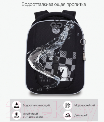 Школьный рюкзак Grizzly RAf-393-10 (черный)