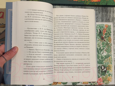 Книга Издательство Самокат Феноменальный П.Т.Гелиодор (Згардоли Гвидо)