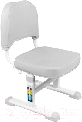 Парта+стул Anatomica Avgusta Comfort с ящиком, подставкой и светильником (белый/серый)