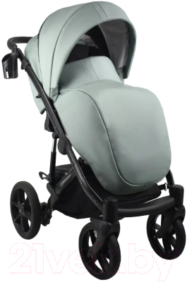 Детская универсальная коляска Bexa Air Eco 2 в 1 (02, шалфей кожа)