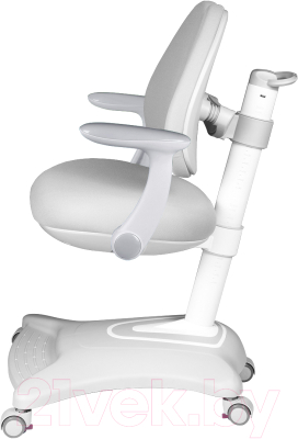 Кресло растущее Anatomica Robin Duos с подлокотниками (серый)