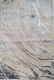 Ковровая дорожка Bossan Rome 3563A-KREM-BEJ (1.2x20) - 