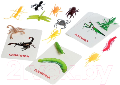 Развивающий игровой набор Zabiaka Мир насекомых По методике Домана / 4474174