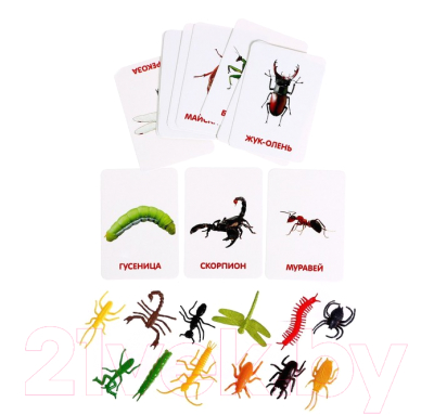Развивающий игровой набор Zabiaka Мир насекомых По методике Домана / 4474174