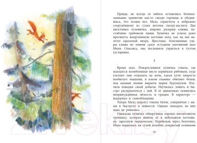 Книга Детская литература Маха, или История жизни кунички (Зиганшин К.)