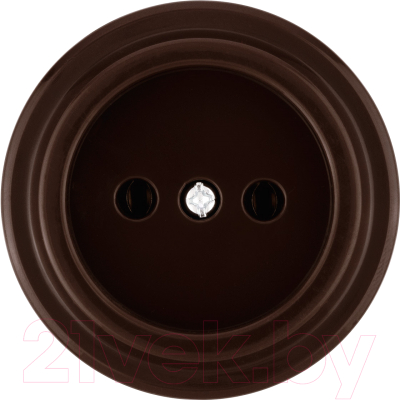 Розетка TDM Виви SQ1820-1416 (коричневая)