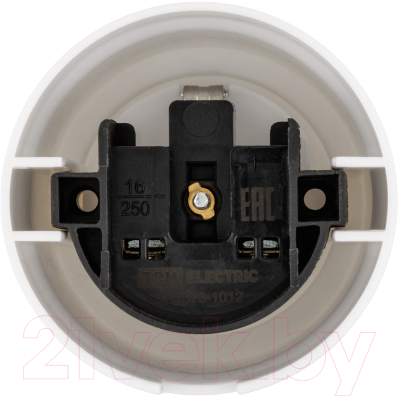 Розетка TDM Виви SQ1820-1012 (белый)