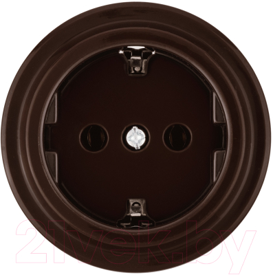 Розетка TDM Виви SQ1820-1417 (коричневая)