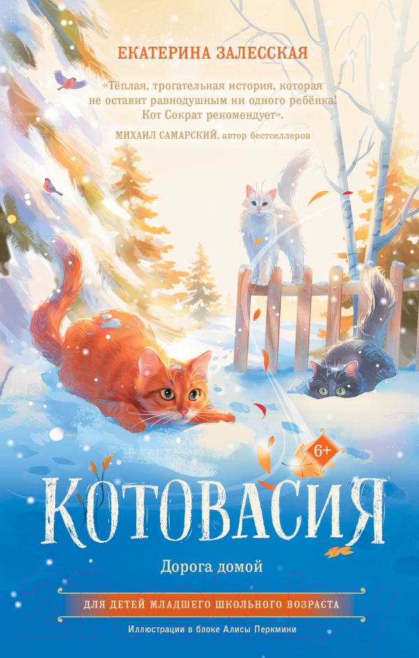 Художественная книга АСТ Котовасия. Дорога домой (Залесская Е.В.) — фото 1