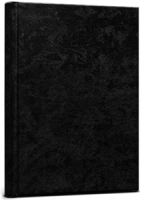 

Ежедневник Проф-Пресс, 80БВ-4631
