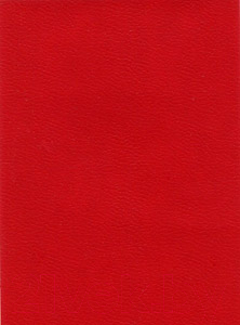 Изображение товара Ежедневник Проф-Пресс 96БВ-3004 (96л)