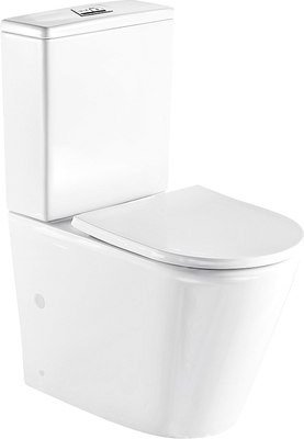Унитаз напольный WeltWasser WW Salzbach 001 XL GL-WT (белый глянец) - 