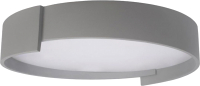 Потолочный светильник Loftit Coin 10200 (серый) - 