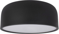 Потолочный светильник Loftit Axel 10201/350 (черный) - 