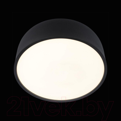 Потолочный светильник Loftit Axel 10201/350 (черный)