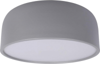 Потолочный светильник Loftit Coin 10201/350 (серый) - 