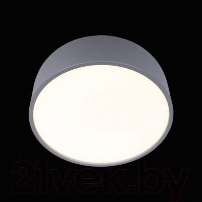 Потолочный светильник Loftit Coin 10201/350 (серый)