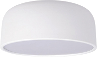 Потолочный светильник Loftit Coin 10201/350 (белый) - 