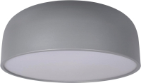 Потолочный светильник Loftit Coin 10201/480 (серый) - 