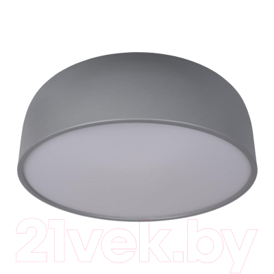 Потолочный светильник Loftit Coin 10201/480 (серый)