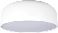 Потолочный светильник Loftit Coin 10201/480 (белый) - 