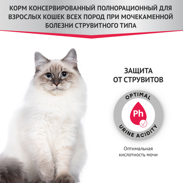 Влажный корм для кошек Мираторг Expert Struvite / 1010024067 (80г)