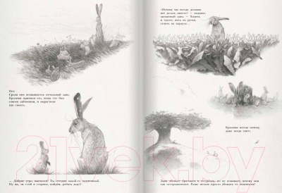 Книга Поляндрия Заяц и кролики (Ле Веэль Т.)
