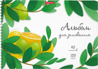

Альбом для рисования, Juicy Fruits / 58585