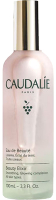 Вода для лица Caudalie Eau De Beaute Beauty Elixir New (100мл) - 