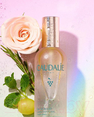 Вода для лица Caudalie Eau De Beaute Beauty Elixir New (100мл)