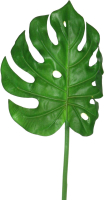 Искусственное растение Lefard Лист Монстеры 23-256 - 