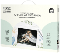 

Набор алмазной вышивки Три совы, Балерина / АМП3040_47603