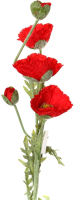 Искусственный цветок Lefard Мак красный / 23-285 - 