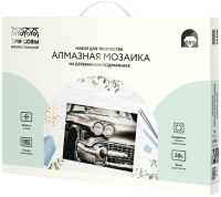 

Набор алмазной вышивки Три совы, Винтажный автомобиль / АМП3040_47602