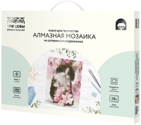 

Набор алмазной вышивки Три совы, Котенок в цветах / АМП3040_47600